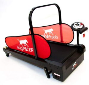 Motorized treadmills for dogs